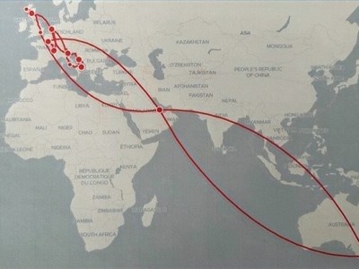 #23 – “When Wine Calls” – Reflections on “The Summer Vintage”&nbsp;Adventure!